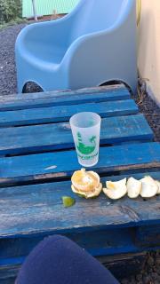 Sapotille sucrée - 6