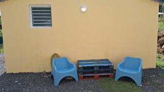 Sapotille sucrée - 3