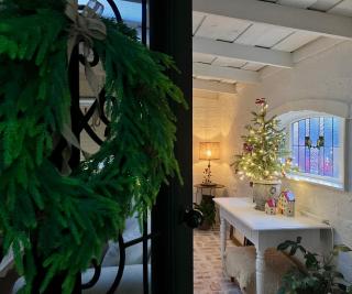 Cosy, romantic, private cottage, close to all & pet friendly - 0