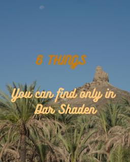 Dar Shaden hostel - 8