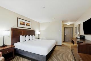 Country Inn & Suites by Radisson, Covington, LA - 8