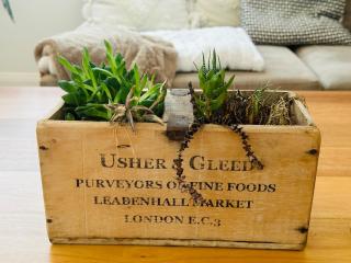 Beautiful Bondi Family Home - 9