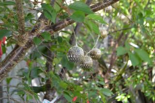 Kent Coastal Seaside Retreat - 6