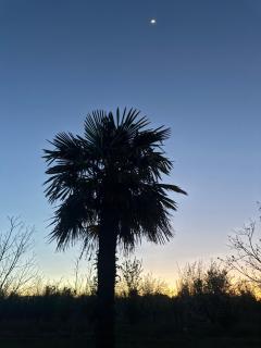 Complejo de Cabañas Quintana Cochera Cocina Wifi Smartv Aire Acondicionado - 0