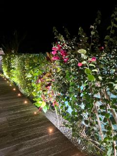 VILLA LA GALANTE - 1