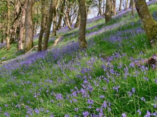 4 Bed in Betws y coed 52111 - 4