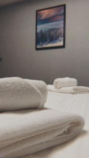 Vila Golija Peak Suites - 2