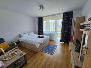 Elena's Studio Brasov - 3