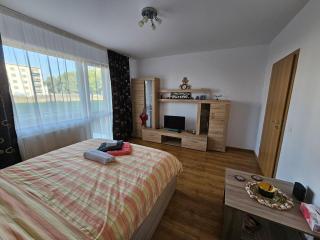 Elena's Studio Brasov - 2