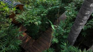 50m to Surf Saladita Casita with Luuna Mattress Pool Ice Bath - 1