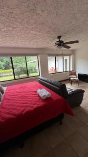 Bonsai House - Brasil - 3