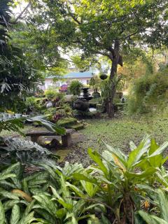 Bonsai House - Brasil - 1