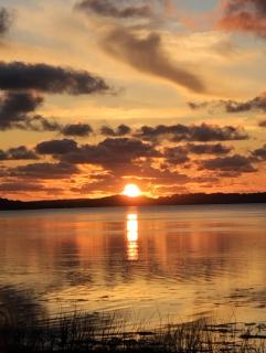 Un espacio para contactar con la naturaleza - 4