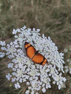 Un espacio para contactar con la naturaleza - José Ignacio - 1