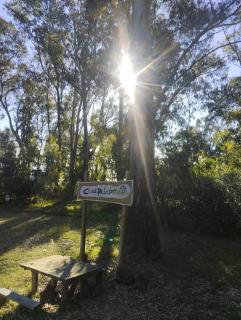 Un espacio para contactar con la naturaleza - 0