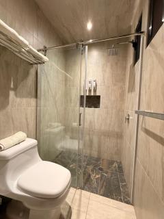 Hotel Arista 1026 - San Luis Potosí - 3