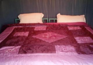 Sahara horizon Camp - 6