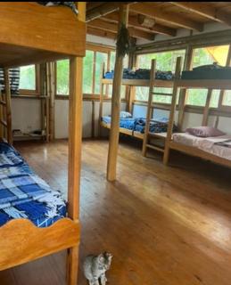 Gaia Dance Tample - 4