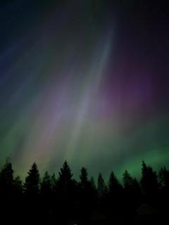 Cozy Apartment with Sauna Free WI-FI & Parking - 7