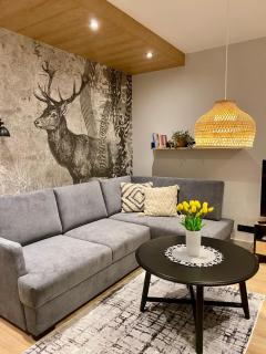 REST4U APARTAMENTY z SAUNAMI - 0