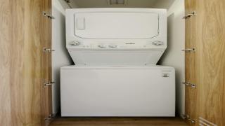 Pet friendly Furnished 1BR Rental in Mexico City - 1