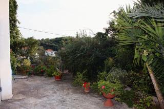 Apartments with parking space Maslinica, Solta - 5176 - 1