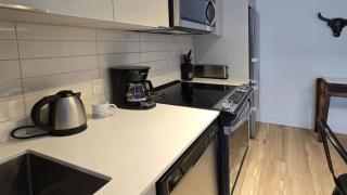 Pet-Friendly Furnished 1B Rental in Montreal with Skyline Views & Concierge - 1