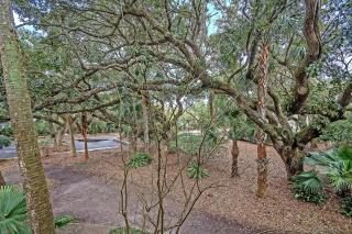 SG6A: 6A Seagrove Villa - 5