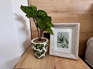 Apartamentos de lujos para descansar Oasis - 7