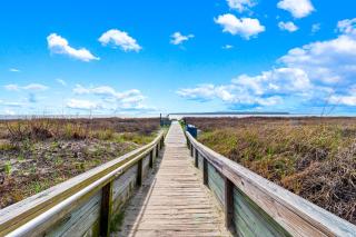 HH2611: 2611 High Hammock - 5