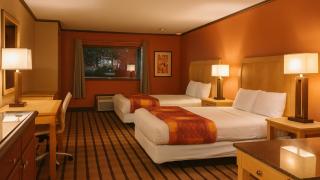 Gated - 2 Double Bed Studio with Full Kitchen 110 - 7