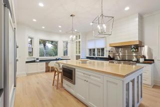 PP600: 600 Piping Plover - 3