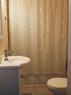 Northside-Private Bath #5 Shared # 3 - Atlanta - 3