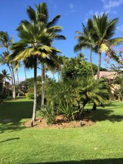 Great Kihei Location Steps to Beach 2BR 2BA - 4