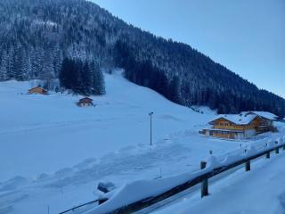 Studio lumineux avec balcon, vue montagne, 25m² - FR-1-573-147 - 1