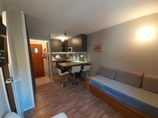 Studio cabine 4 personnes proche télécabine, animaux admis - FR-1-561-149 - 9