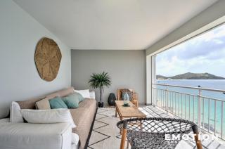 Appartement 2 chambres sur la belle plage de grand case - 9