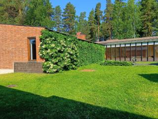 Säynätsalo Town Hall - 2