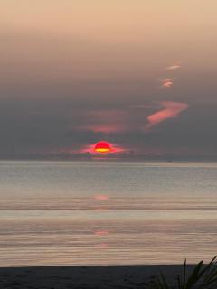 Lola Sayong Xanti 'Silong - 8