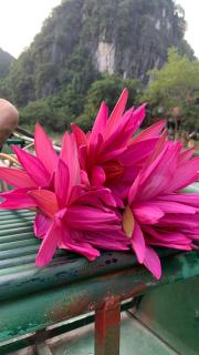 Diện Hoa Homestay - 2