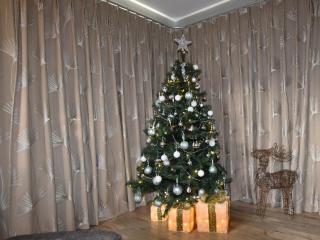 3 Bed in Combe Martin 41580 - 8