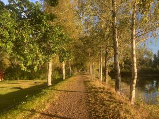 Idyllic vacation home with lakeview - 7