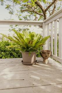 The Little River Cottage - Riverfront Retreat - 2