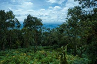 Bracknell Forest Munnar - 4