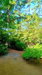 Green Park Haven Villa - 2