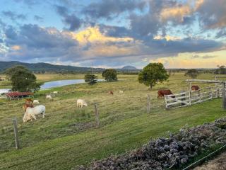 Sunshine Coast Hinterland Retreat - Yandina Station - 0