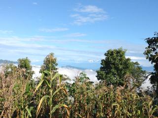 Alpine bed and breakfast Lalitpuur - 1