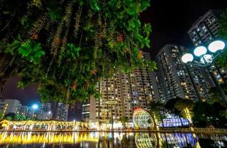 Alice's home Times city - 8