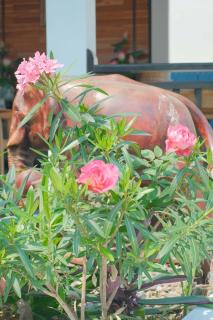 Luangprabang Sadakham Hotel - 7