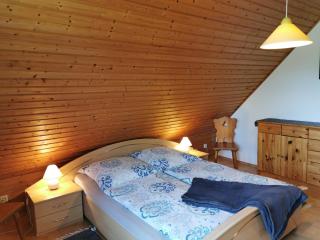 Spacious appartment in Wilhelmshof near Lake - 4